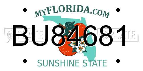 BU84681 Florida License Plate