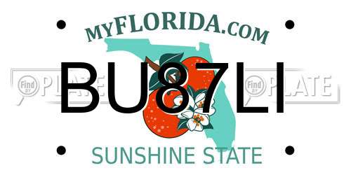BU87LI Florida License Plate