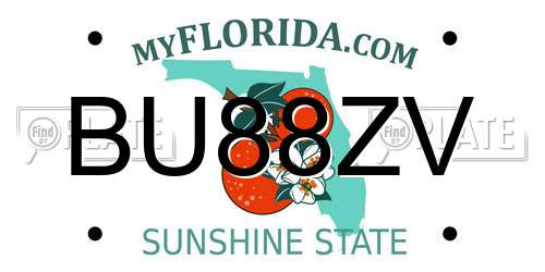BU88ZV Florida License Plate