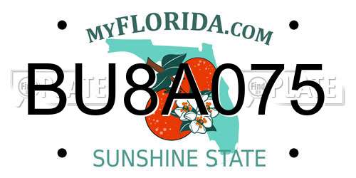 BU8A075 Florida License Plate