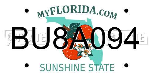 BU8A094 Florida License Plate