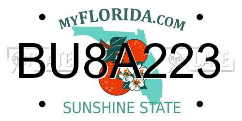 BU8A223 Florida License Plate