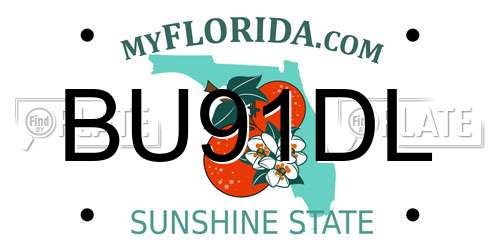 BU91DL Florida License Plate