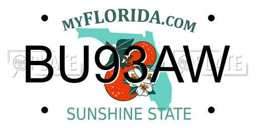 BU93AW Florida License Plate