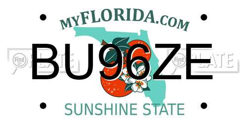 BU96ZE Florida License Plate