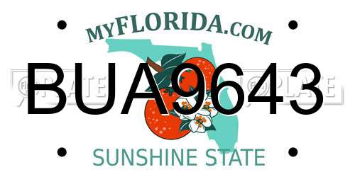 BUA9643 Florida License Plate
