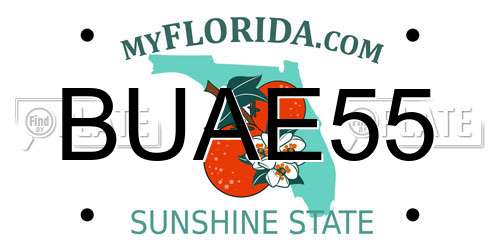BUAE55 Florida License Plate