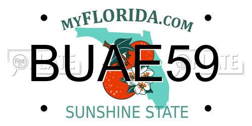 BUAE59 Florida License Plate