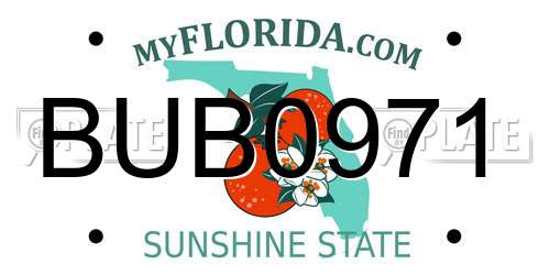 BUB0971 Florida License Plate