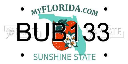 BUB133 Florida License Plate