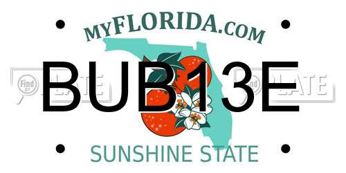 BUB13E Florida License Plate