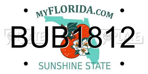 BUB1812 Florida License Plate