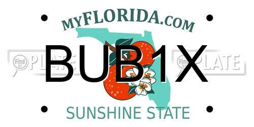 BUB1X Florida License Plate
