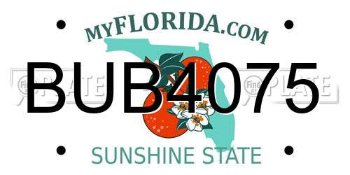 BUB4075 Florida License Plate