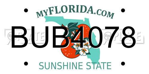 BUB4078 Florida License Plate