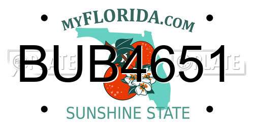BUB4651 Florida License Plate