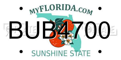 BUB4700 Florida License Plate