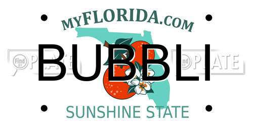 BUBBLI Florida License Plate