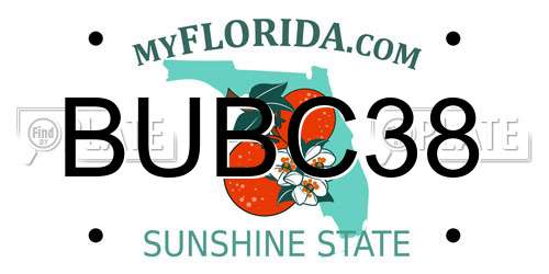 BUBC38 Florida License Plate