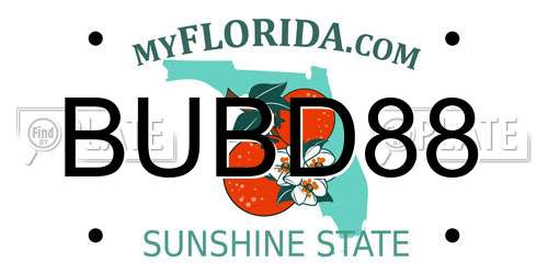 BUBD88 Florida License Plate