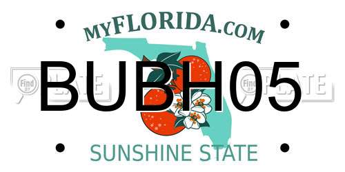 BUBH05 Florida License Plate