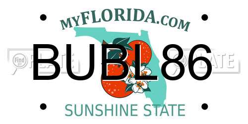 BUBL86 Florida License Plate