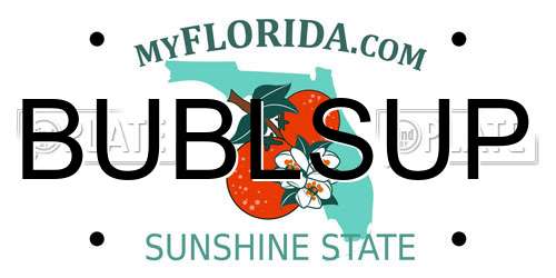BUBLSUP Florida License Plate