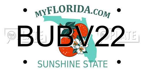 BUBV22 Florida License Plate