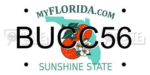 BUCC56 Florida License Plate