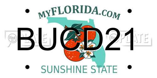 BUCD21 Florida License Plate