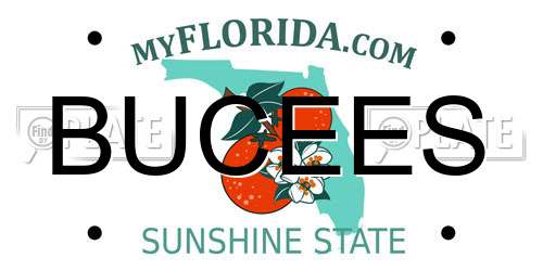 BUCEES Florida License Plate
