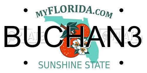 BUCHAN3 Florida License Plate