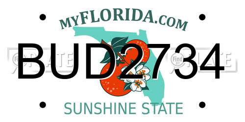 BUD2734 Florida License Plate