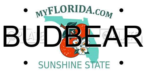 BUDBEAR Florida License Plate