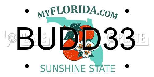 BUDD33 Florida License Plate