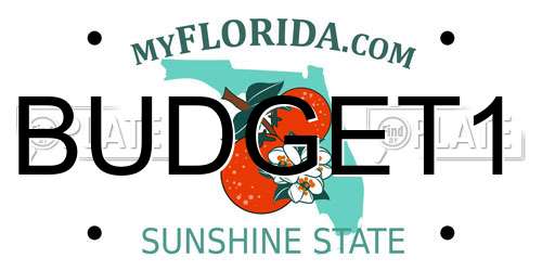 BUDGET1 Florida License Plate