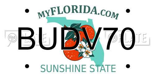 BUDV70 Florida License Plate