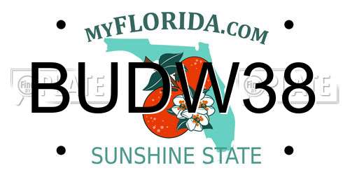 BUDW38 Florida License Plate