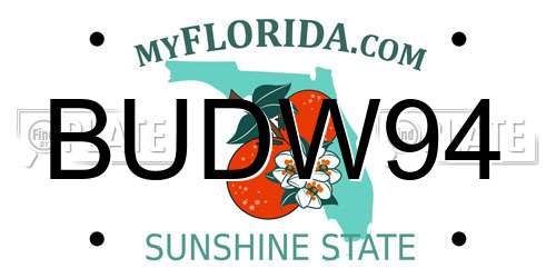 BUDW94 Florida License Plate
