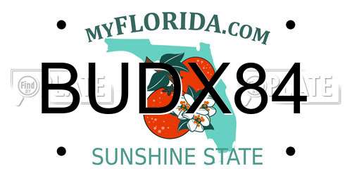 BUDX84 Florida License Plate