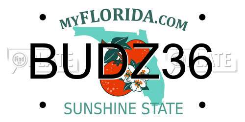 BUDZ36 Florida License Plate