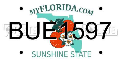 BUE1597 Florida License Plate