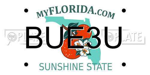 BUE3U Florida License Plate
