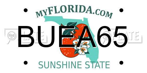 BUEA65 Florida License Plate