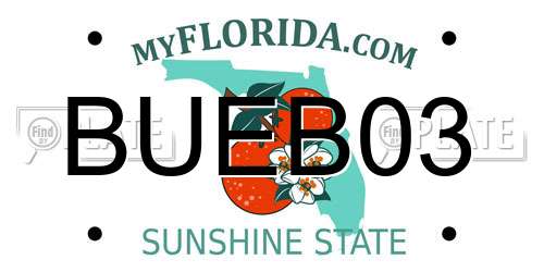 BUEB03 Florida License Plate