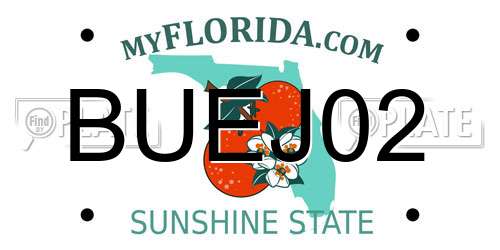 BUEJ02 Florida License Plate