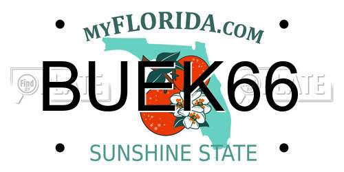 BUEK66 Florida License Plate