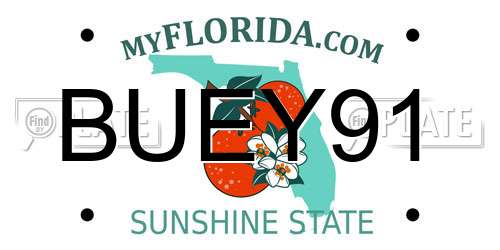 BUEY91 Florida License Plate