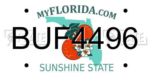 BUF4496 Florida License Plate