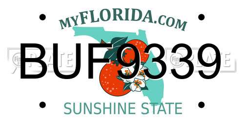 BUF9339 Florida License Plate